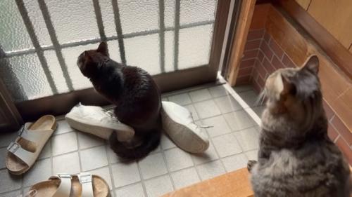 向こうを見るふたり