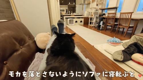 テロップ「モカを落とさないよう～」