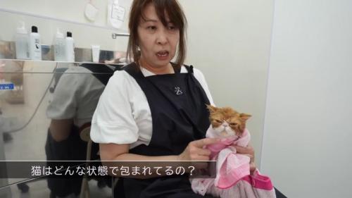 おくるみ
