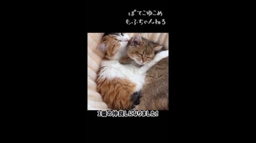 1番の仲良しに
