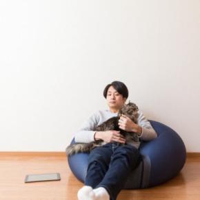 猫との暮らしで『ビーズクッション』を使って大丈夫?起こしかねないトラブル3つと安全対策の方法