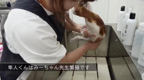 宙に浮いた姿