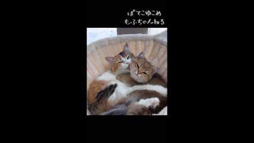密着するふたり
