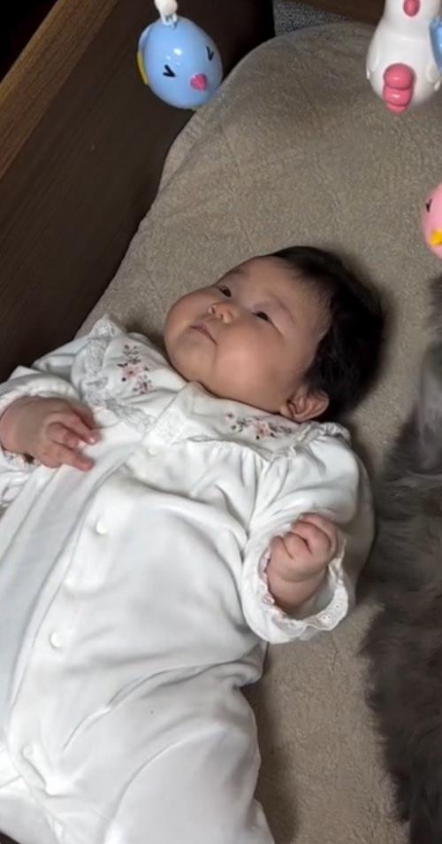 ベッドの上に吊されたおもちゃを見ながら腕を動かす赤ちゃん