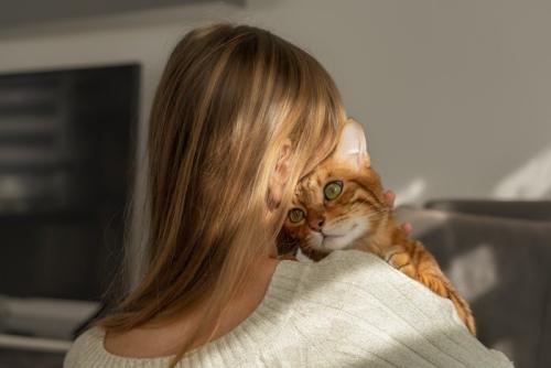 見つめ合う猫と女性