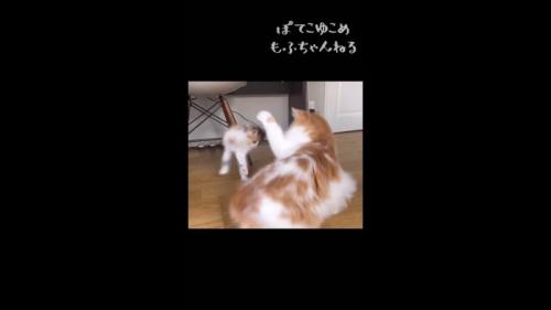 飛び跳ねるうなぎちゃん