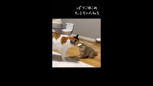 頭にタッチ
