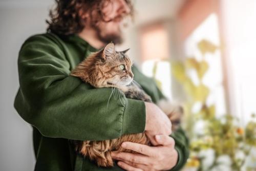 猫を抱く男性