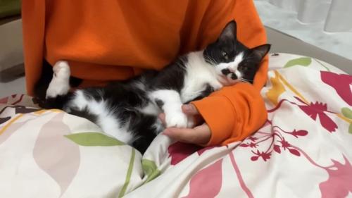 膝抱っこ