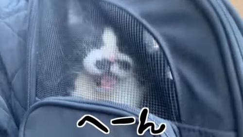 へーん