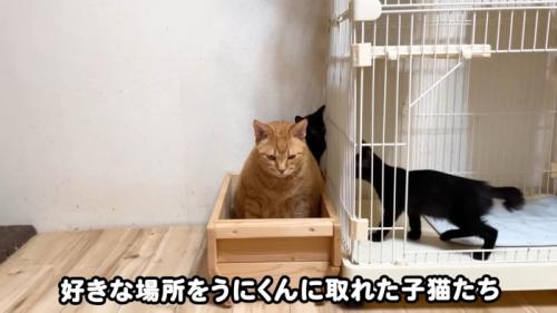 テロップ「好きな場所を～」