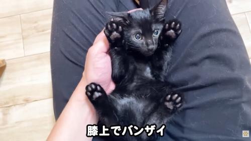 テロップ「膝上で～」