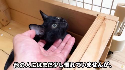 テロップ「他の人には～」