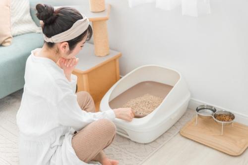 トイレ掃除する女性