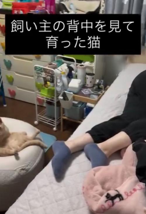 カメラ移動
