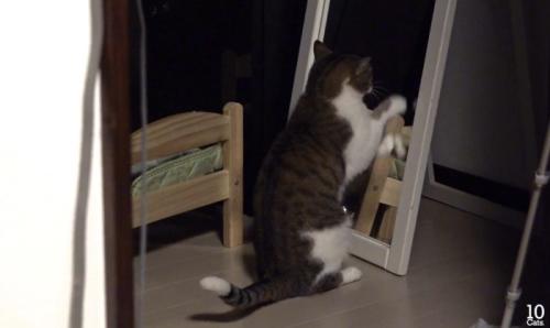 鏡をたたく