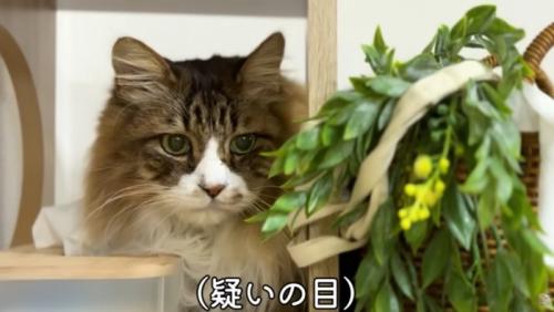 疑いの目