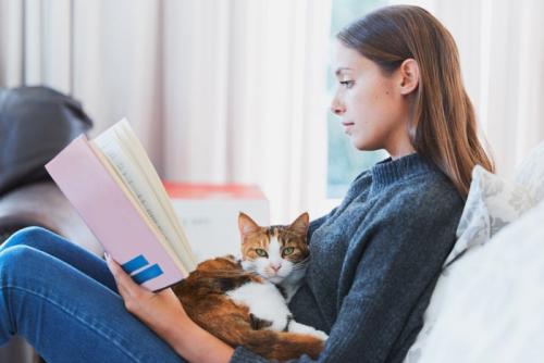 読書中の女性の膝の上でくつろぐ猫
