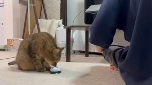 顔を近づけて