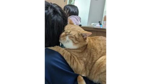 男の子と猫