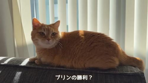 勝利？