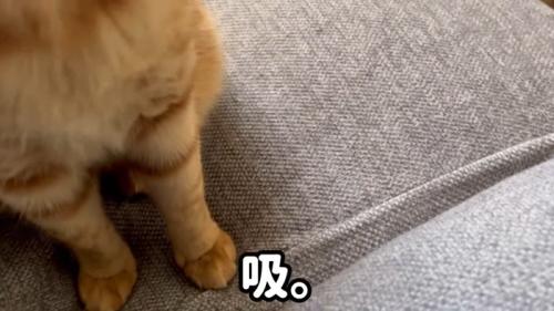 吸。