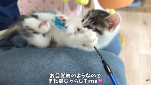 テロップ「お目覚めのようなので～」
