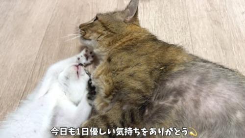 テロップ「今日も一日～」