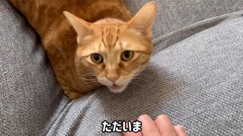 ただいま