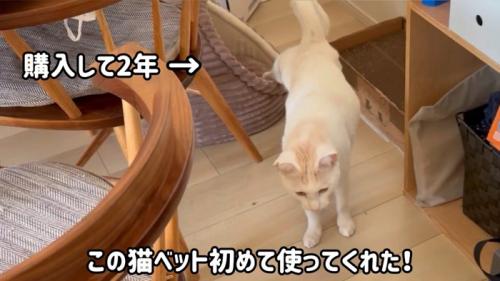 購入して2年