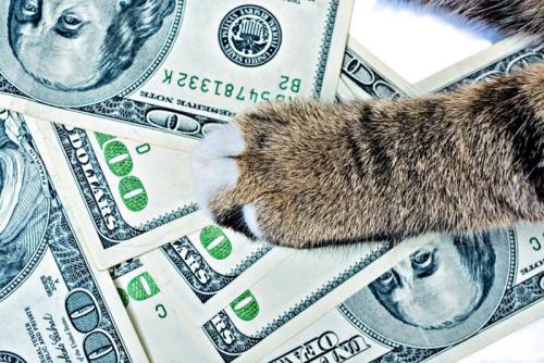 猫の手と札束