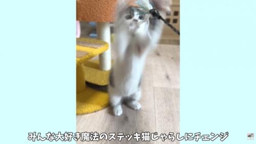 テロップ「みんな大好き～」