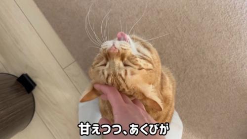 あくび