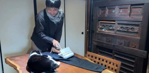 服の毛を取る飼い主と猫