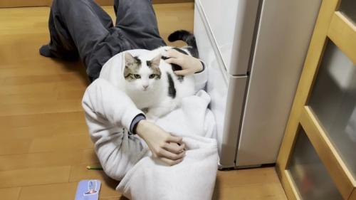 フードでお顔を隠す男の子と、お腹の上に乗る猫ちゃん(白地に黒縁模様)