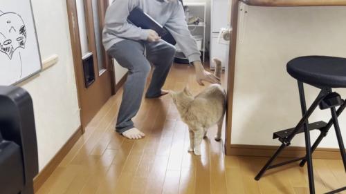 黒いバインダー?を抱えた男の子と振り向き猫ちゃん