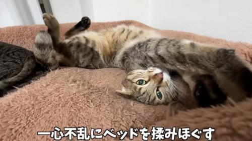一心不乱に