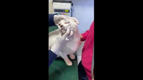 目のチェック