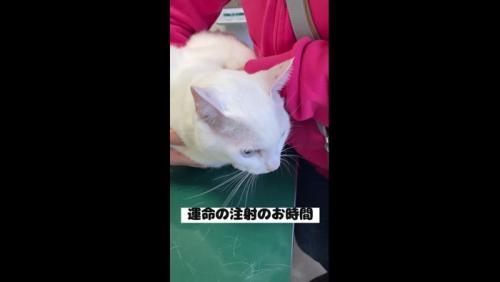 注射の時間