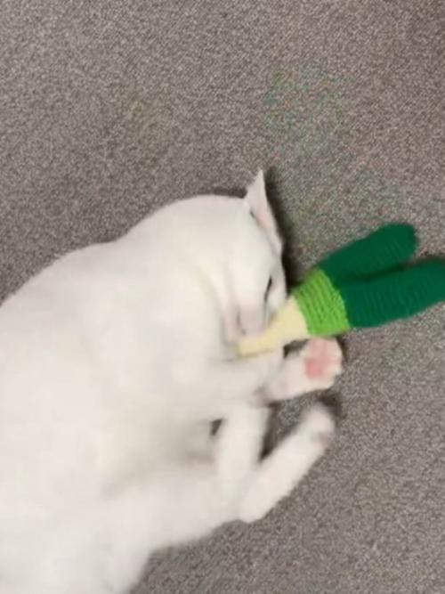 おもちゃをけりけりする白猫(おもちゃを蹴ったところ)