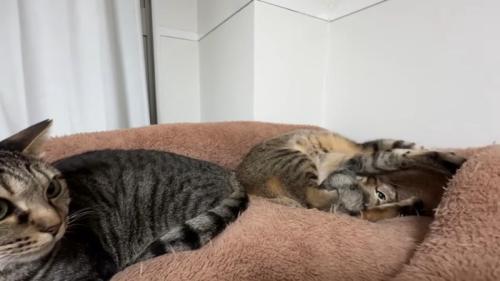 フミフミ中