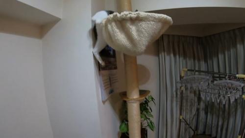 足が飛び出て