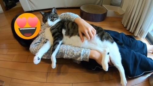 体を起こして
