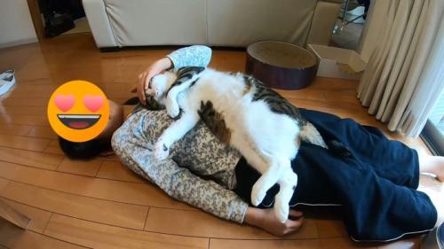 頭をなでなで