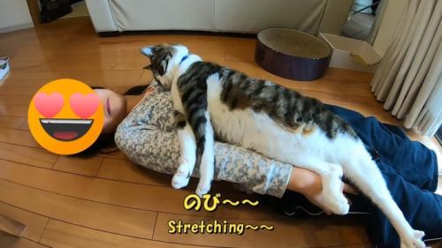 のび〜