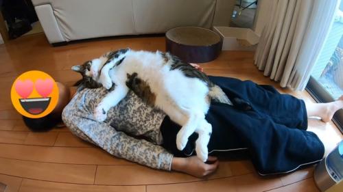 体の上に