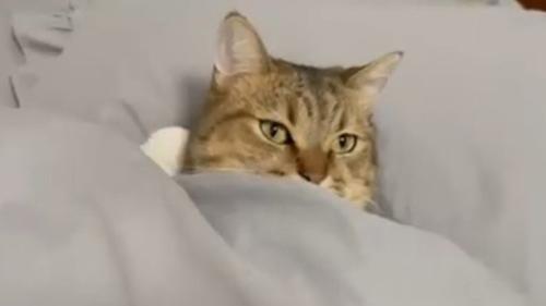 口元まで包まれて
