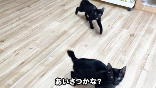 あいさつかな？