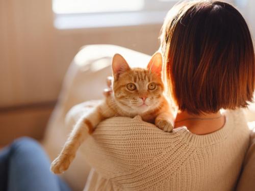 抱きしめられる猫