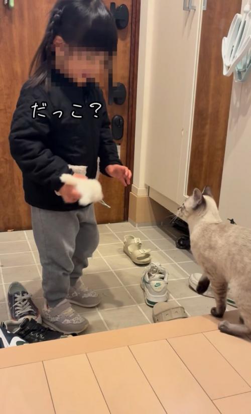 見つめ合う女の子と猫